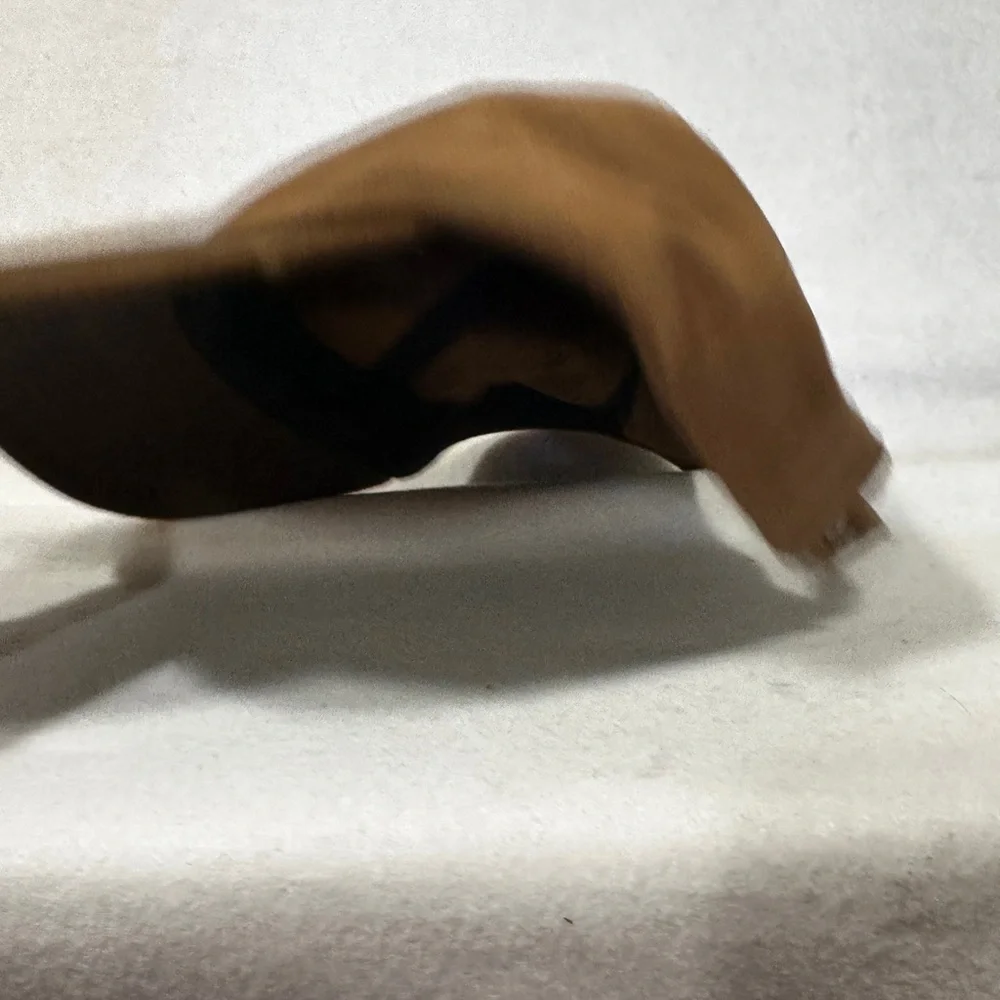 Volcom Brown Cap - Picture 4 of 6